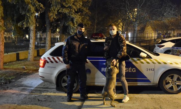 100 kilométerre az otthonától találták meg az elveszett kutyát, harcoltatásra lophatták el a zárt udvarról az ebet