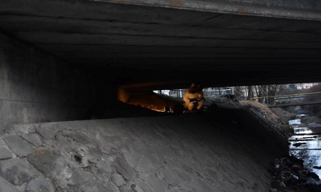 Marikát kegyetlenül összeszurkálta a hajléktalan, salgótarjáni férfi, korábbi áldozatának sem kegyelmezett