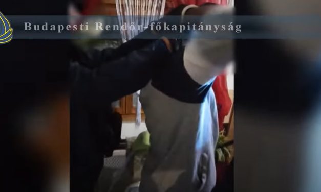 Rajtaütöttek a díler pároson a budapesti rendőrök – A nő falazni próbált a szerelmének, de innen már nem volt menekvés