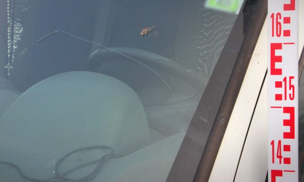 Tömegverekedés a piacon: mankóval verték egymást a kofák többen egy furgonba bújtak el a támadók elől