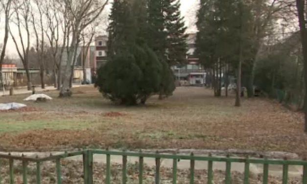 Szóváltásból szörnyű tragédia – nem ismerte be bűnösségét a Deutsch Tamás apósát meggyilkoló B. István