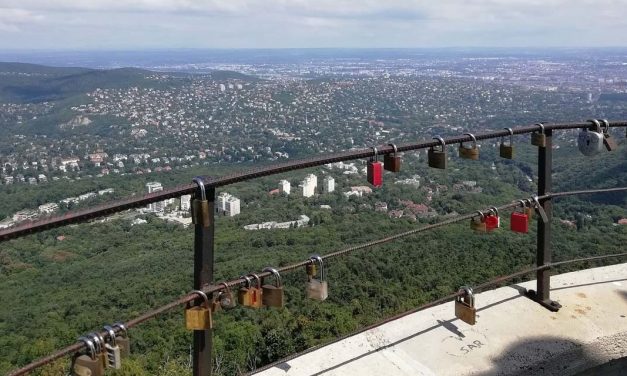 „Köszönöm mindenkinek aki gondolt rá, aggódott érte, segítette a keresést” – egy évvel eltűnése után találták meg a 79 éves tájfutó holttestét Budapesten