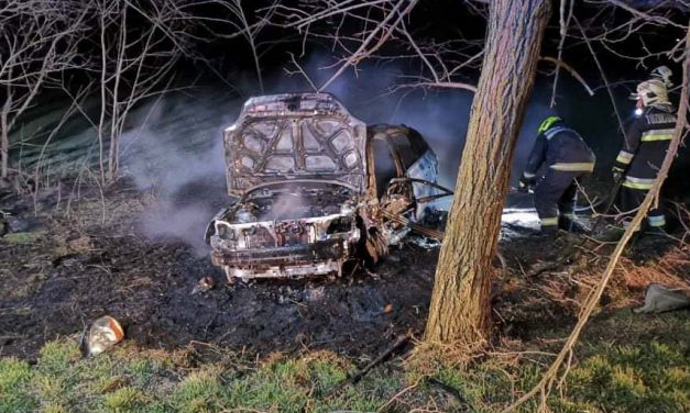 “Nincs szó, csak fájdalom” – több fának nekiment, majd kigyulladt a 20 éves Martin autója, a sofőr nem élte túl a balesetet