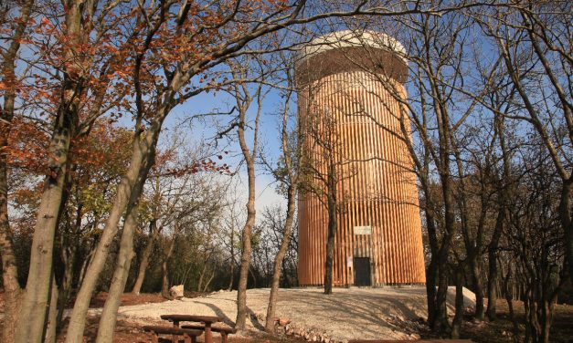 Édesanyjával kirándult a Pilisben a 6 éves kislány, amikor rosszul lett és eszméletét vesztette: rendőrök mentették meg az életét