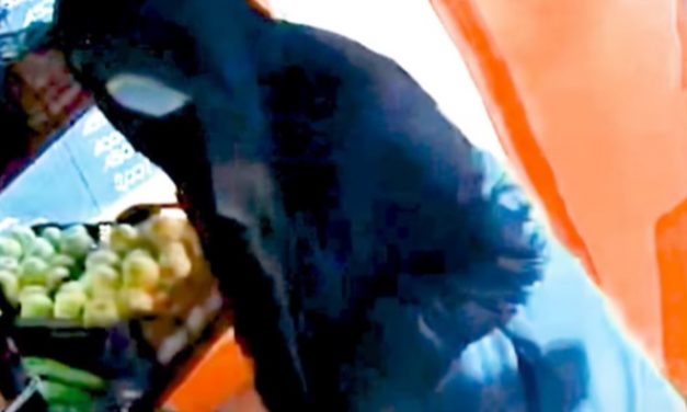 Egy budapesti boltban mutogatott olyat ez a férfi, amit nagyon nem kellett volna – Videó is van róla, Te láttad valahol?