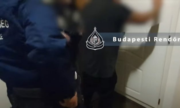 Többszörösen körözött bűnőzőre csaptak le a pilisvörösvári zsaruk – videón az elfogás