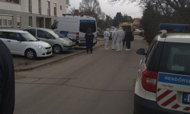 100 évesen szabadulhat a börtönből az a fóti férfi, aki kioltotta élettársa lányának életét, Sz. István azért volt dühös, mert szerinte a nő ellopja tőle a nyugdíját