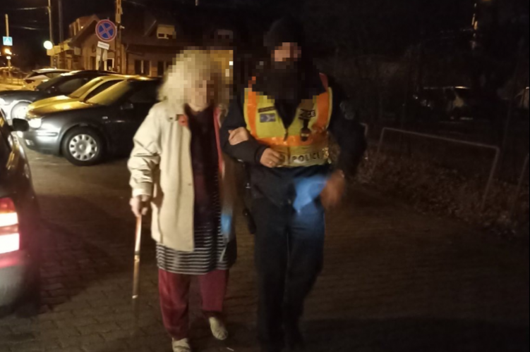 A zord hidegben kóborolt egy idős néni Pest megyében, a rendőrök azonnal a segítségére siettek – fotók