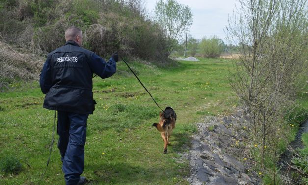 Csalhatatlan szimat: Shelbi, a rendőrkutya vezette nyomra kollégáit – Fotók