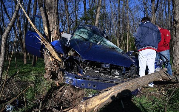 Halálos baleset húsvét hajnalban: meghalt egy 34 éves férfi az M5-ös autópályán