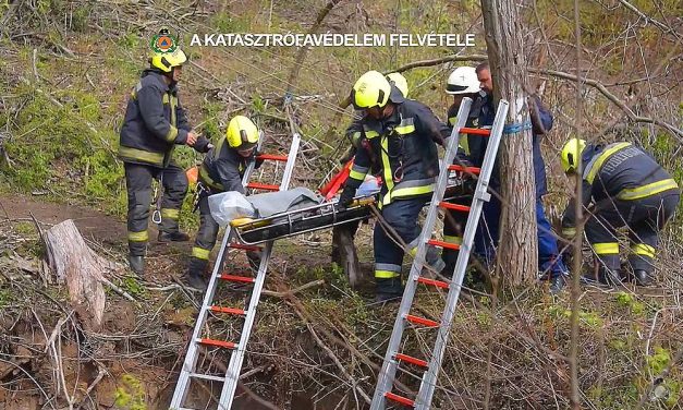 Nyolc méter mély szakadékba zuhant egy kisfiú Pécelnél, bravúros mentőakció indult a megmentésére – Videó