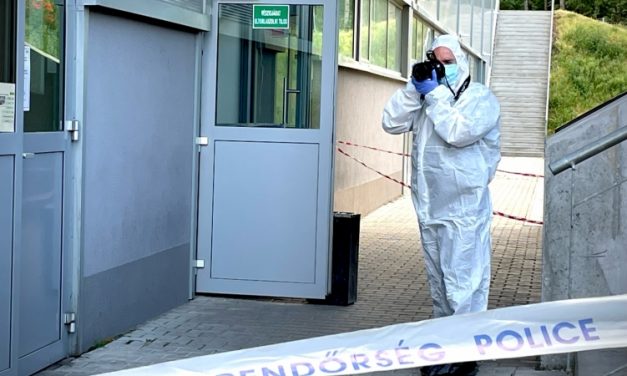 Erőszakos videójátékokkal játszott, majd brutálisan megölte a gyárban dolgozó munkatársnőjét egy 25 éves férfi Veszprémben