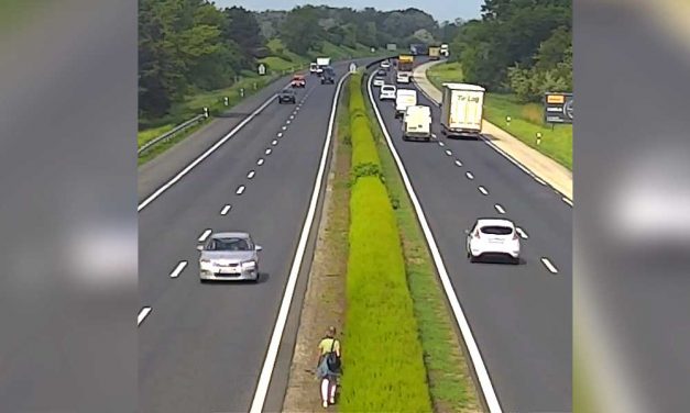 „Kötelező KRESZ-oktatás bevezetésére lenne szükség” – az M1-es autópályán gyalog indult Győr felé egy nő