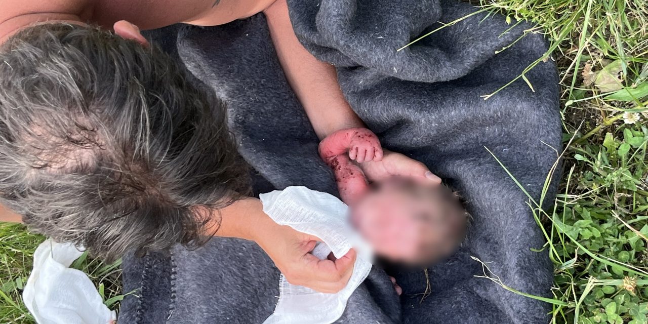 Sorsára hagyta a babáját a szívtelen anya: a csecsemő 24 órán keresztül feküdt a szőlőskertben, kiszáradt és összecsípték a bogarak – a mentőhelikopterben halt meg a kislány