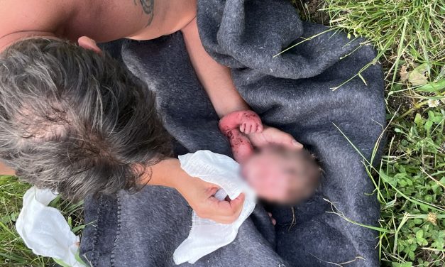 Sorsára hagyta a babáját a szívtelen anya: a csecsemő 24 órán keresztül feküdt a szőlőskertben, kiszáradt és összecsípték a bogarak – a mentőhelikopterben halt meg a kislány
