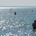 Belefulladt a Balatonba egy 78 éves budapesti férfi, az egyik siófoki strandnál találtak rá