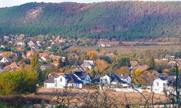 Két nap alatt 5 túrázót kellett kimenteni az eső miatt a Pilisben, az egyikük pánikrohamot kapott a viharban