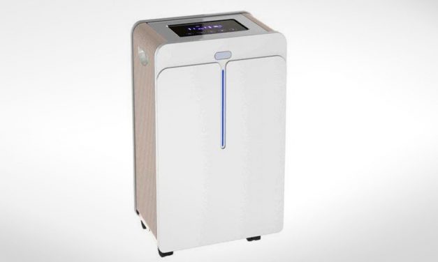 Hogyan védekezhetünk hatékonyan a parlagfű keresztallergia ellen?