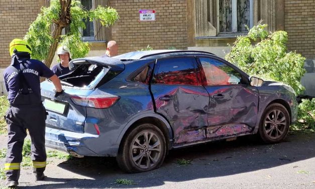 Csúnyán oldalba vágta a futárcég autója a szép új Fordot, a karambolban kidőlt egy fa és sok tej az aszfaltra csorgott