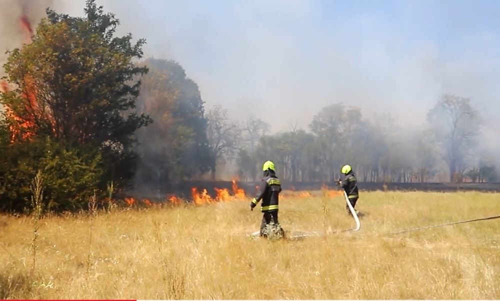 Lángokban áll a növényzet a Gyömrői úti benzinkút közelében, házak is veszélyben vannak – helyszíni videó