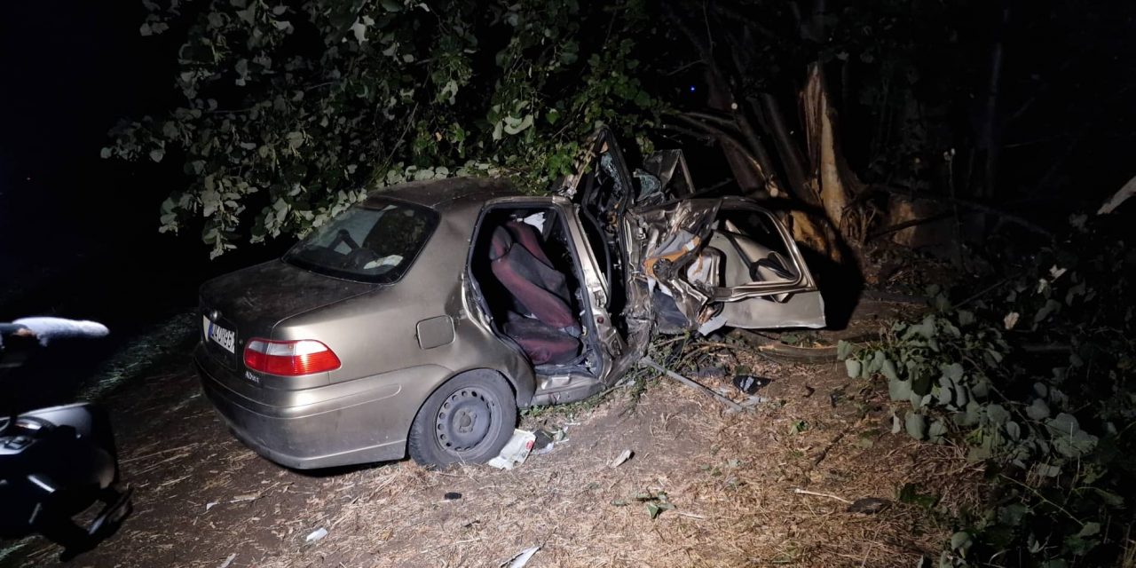 Újabb halálos baleset: lesodródott az útról és fának csapódott egy autó Pest megyében – Ketten meghaltak