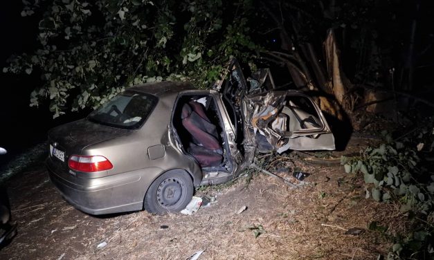 Újabb halálos baleset: lesodródott az útról és fának csapódott egy autó Pest megyében – Ketten meghaltak