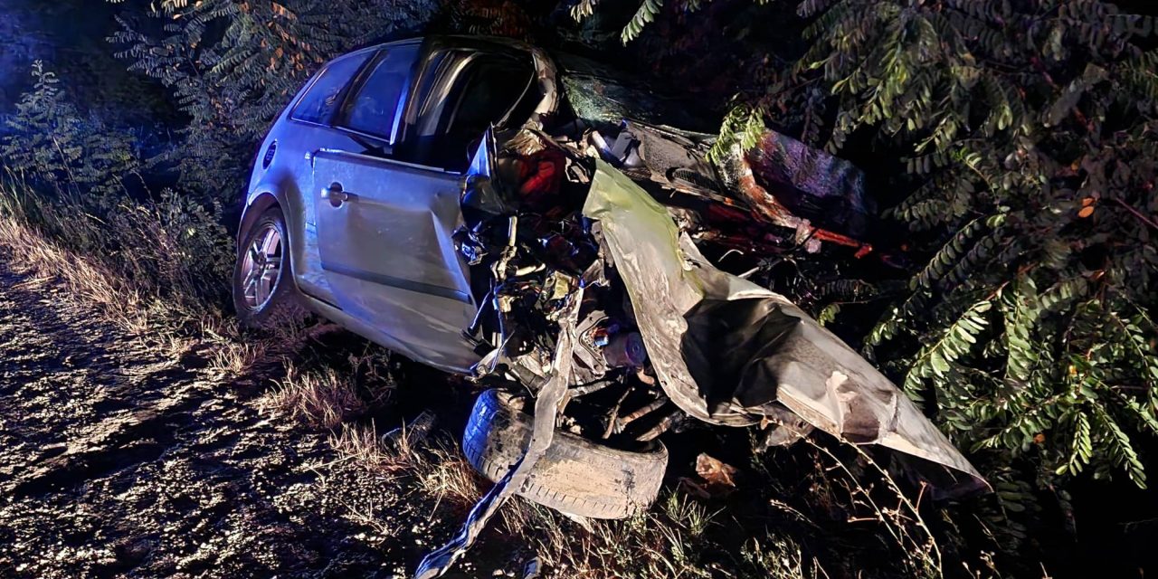 Hatalmas baleset az M2-esen: elaludt a volán mögött a Ford sofőrje, belerohant egy kamionba – Sokkoló fotók a helyszínről