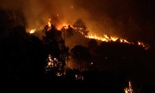 Lángol a Mecsek: több ház leégett, gázpalackok robbantak, az orfűi tóból is viszik a vizet a tűzoltók