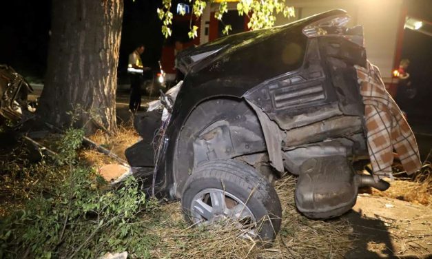 Kettészakadt az autó, felismerhetetlenné vált – Munkából tartott haza a sofőr, aki óriási sebességgel fának ütközött, nem tudták megmenteni