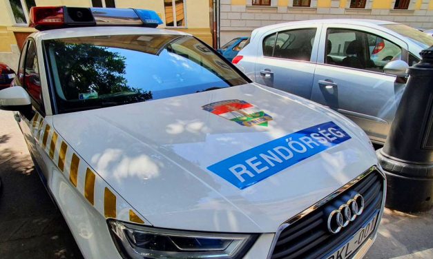 Furfangos módját esszelte ki a budapesti rendőrnő annak, hogy nyakon csípjék a piás telefontolvajt – videó