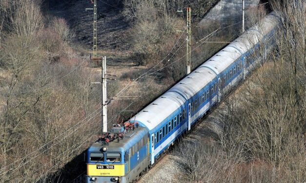 Kutyáját akarta megmenteni, halálra gázolta az Intercity. A 47 éves nő élettársa is a közelben volt