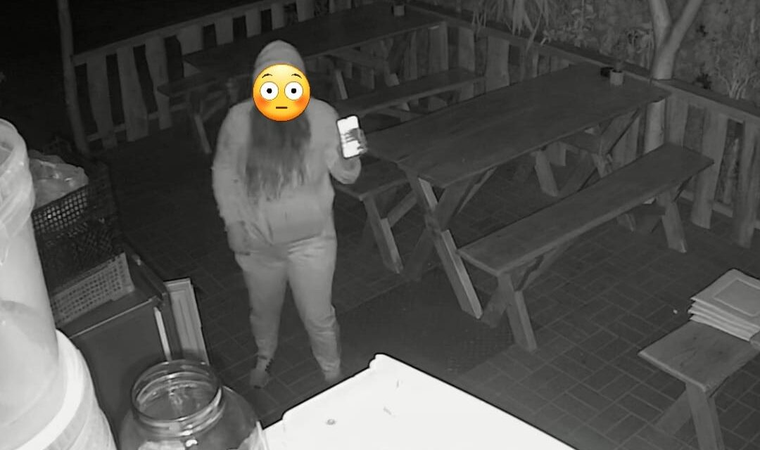 Kaját lopott éjszaka a pizzéria hűtőjéből a fiatal lány, Facebookon keresi a tulajdonos a tolvajt