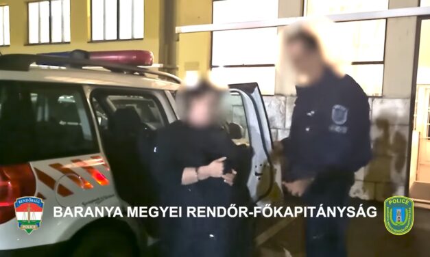 Kegyetlenül elvette kisbabája életét, hamarosan vádat emelhetnek a gyilkos anya ellen