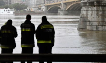 Életveszélyben! Egy fiatal nő lebegett arccal lefelé a Duna vízében Budapesten, a Petőfi híd közelében