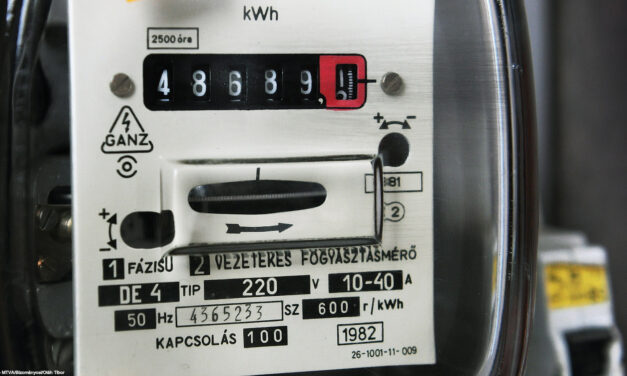 A jogszabályok csapdájában – nem tudják kitenni a milliókkal tartozó albérlőket egy budapesti lakásból. Pörkölttel és virágcserepekkel dobálták meg az elektromos szolgáltató embereit