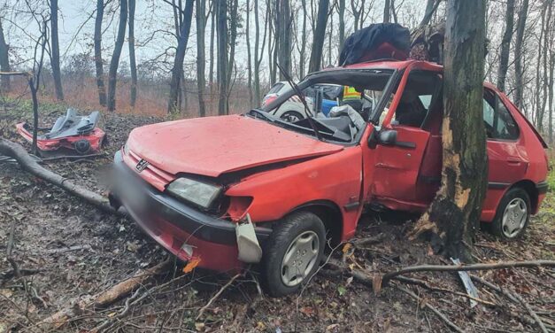 Életveszélyesen megsérült egy testvérpár, miután autójukkal több fának is nekicsapódtak a Bakonyban