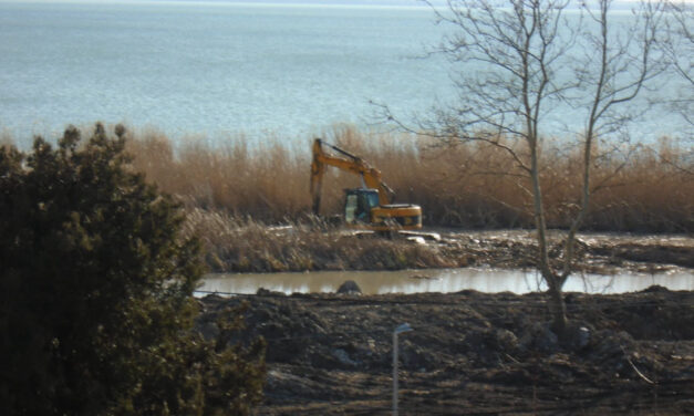Barbár környezetpusztítás a Balatonnál: kiirtották a fokozottan védett nádast, felfüggesztett börtönt kaptak