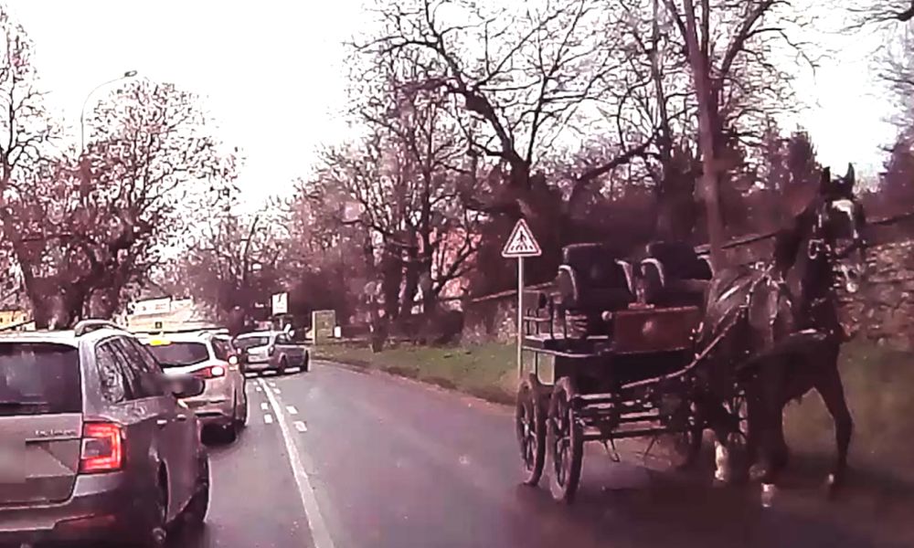 Elszabadult ló keltett riadalmat Fóton, az állat a forgalommal szemben vágtázott, úgy húzta maga után a lovaskocsit – VIDEÓ