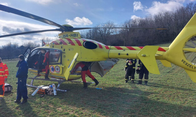 Többször kellett újraéleszteni azt a férfit, akire rádőlt egy húszméteres diófa Nagyberényben