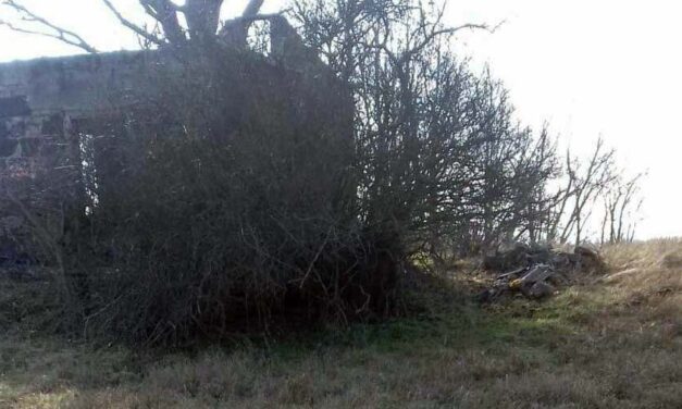 „Valaki biztosan szerette ezt a nőt” – először az alsó-, majd a felsőtestét találta meg az áldozatnak az a férfi, aki először nem hitt a szemének. Hiányzik az állkapocs, nehéz lesz az azonosítás