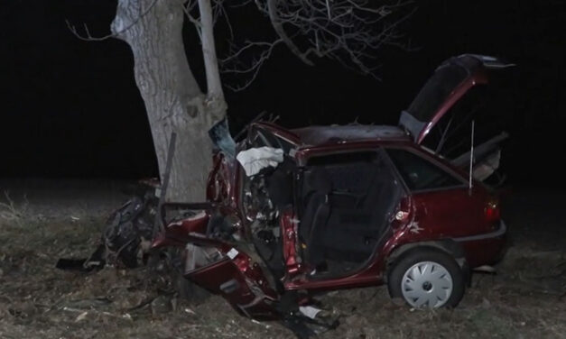 Százhetvennel csapódott a fának egy fiatal Szabolcs vármegyében, azonnal életét veszítette