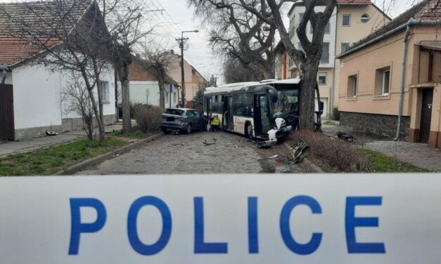 „A körülményekhez képest jól vagyok” – megszólalt a buszsofőr, aki egy szabálytalan autós miatt fának ütközött a menetrendszerinti busszal