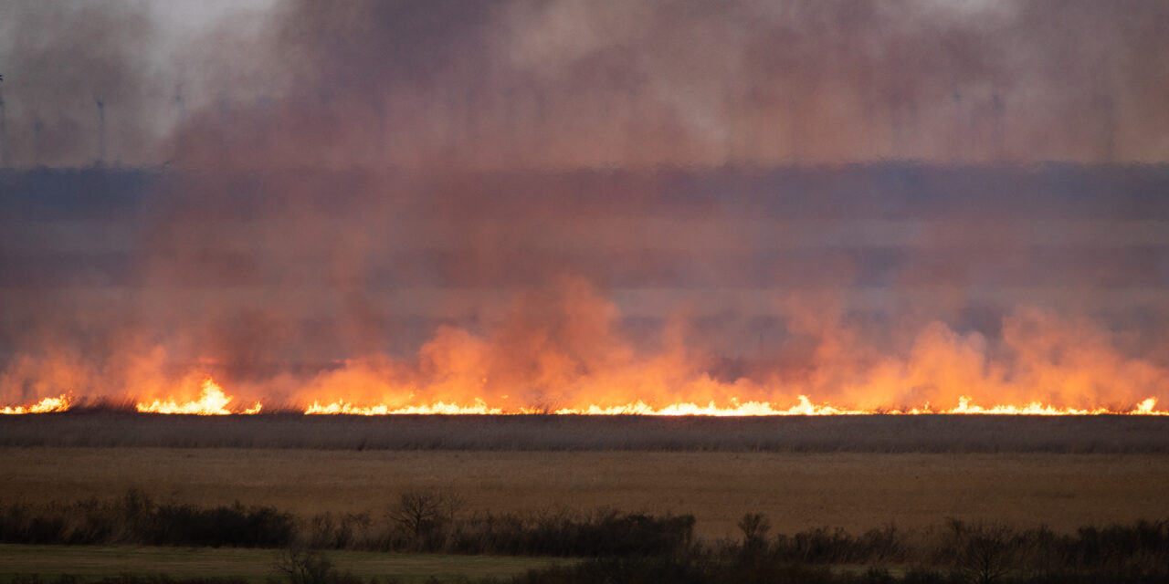 Hatalmas tűz pusztít a Fertő tónál, több kilométer hosszan ég a nádas