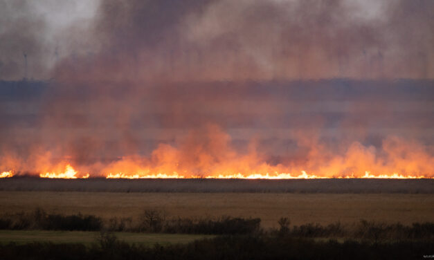 Hatalmas tűz pusztít a Fertő tónál, több kilométer hosszan ég a nádas