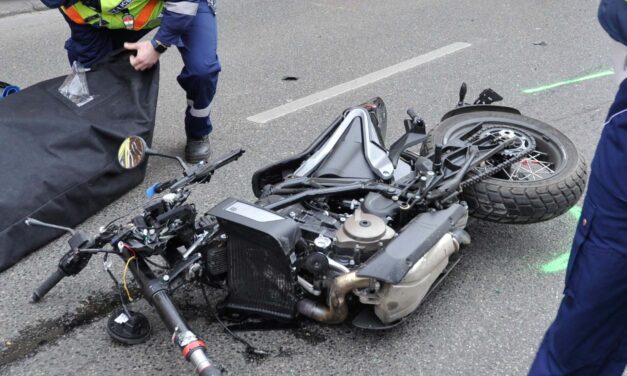 Egy arra járó autós próbálta megmenteni az életét, meghalt a gólyával ütköző motoros