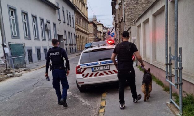 Szabadnapos rendőrök mentettek meg egy németjuhászt: egy idős férfi ököllel verte a kutyáját Budapesten