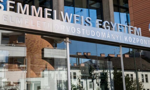 Drága gikszer: 700 millió forintos készülék ment tönkre a Semmelweis Egyetemen, miközben vizsgáltak egy kutyát