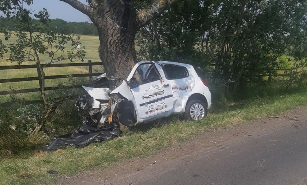 Halálos baleset történt Sándorfalvánál: egy fának ütközött egy autó, a sofőr a helyszínen elhunyt