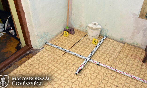 Baltával oltotta ki édesanyja életét, majd utána felmosott a tetthelyen a 14 éves fülöpjakabi fiú – Hiába minden igyekezete, így sem kerülheti el sorsát