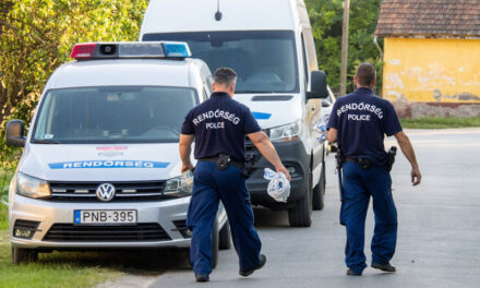 Családi tragédia Battonyán: megölte feleségét, majd magával is végzett az 54 éves férfi, napok óta halott lehetett a házaspár
